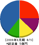 京浜興業 貸借対照表 2008年6月期