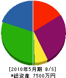 小武電気工事 貸借対照表 2010年5月期