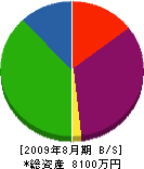 岩田電機 貸借対照表 2009年8月期