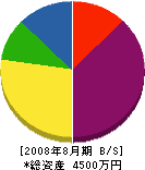 日東工業 貸借対照表 2008年8月期