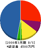 牧田電気商会 貸借対照表 2008年3月期