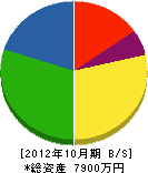 渡辺塗装 貸借対照表 2012年10月期