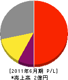 勝崎電気工業 損益計算書 2011年6月期