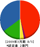大泉エンジニアリング 貸借対照表 2009年3月期