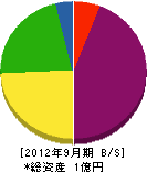 鈴木ダイビングサービス 貸借対照表 2012年9月期