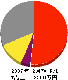 長谷川ポンプ工業所 損益計算書 2007年12月期