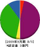 茨城総合環境 貸借対照表 2009年9月期