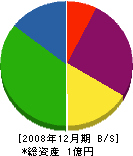 東栄産業 貸借対照表 2008年12月期