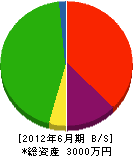 野田組 貸借対照表 2012年6月期