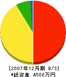 石井工務店 貸借対照表 2007年12月期