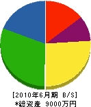 東海ポンプ工務所 貸借対照表 2010年6月期