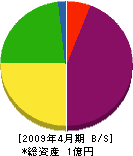 池田組 貸借対照表 2009年4月期