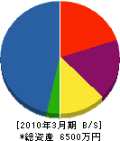 日本安全資材 貸借対照表 2010年3月期