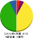 池田工業 貸借対照表 2012年6月期