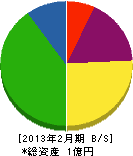 辻電機工業所 貸借対照表 2013年2月期