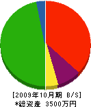木村実業 貸借対照表 2009年10月期