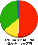 篠原興業 貸借対照表 2009年12月期
