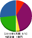 片山 貸借対照表 2010年6月期