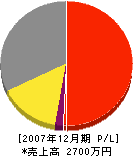 廣田組 損益計算書 2007年12月期