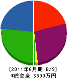 にんじんネット 貸借対照表 2011年6月期