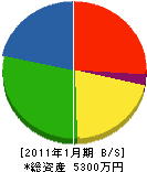 室田電気 貸借対照表 2011年1月期