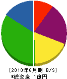 橋本嘉太郎商店 貸借対照表 2010年6月期
