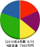 田仲建設 貸借対照表 2010年4月期