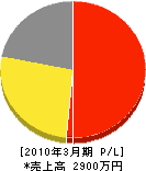 沖縄ビジョンサービス 損益計算書 2010年3月期