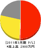 沖縄ビジョンサービス 損益計算書 2011年3月期