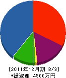 大野住建 貸借対照表 2011年12月期