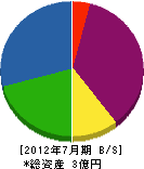 広島総合開発 貸借対照表 2012年7月期