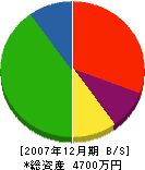 伊澤土建 貸借対照表 2007年12月期