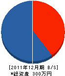 晃栄電気工事 貸借対照表 2011年12月期