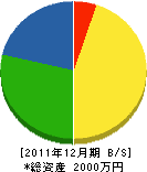 成松住建 貸借対照表 2011年12月期