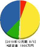 畑崎電機商会 貸借対照表 2010年12月期