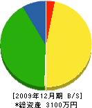 菅原木材 貸借対照表 2009年12月期