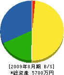 丸山電気商会 貸借対照表 2009年8月期