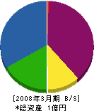 寺田工務店 貸借対照表 2008年3月期