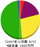 高松技建 貸借対照表 2007年12月期
