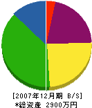 梅川工務店 貸借対照表 2007年12月期