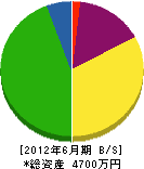 岩田造園 貸借対照表 2012年6月期