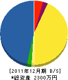 堀田建築 貸借対照表 2011年12月期