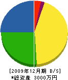 松原園 貸借対照表 2009年12月期