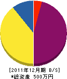 小野内カーテン 貸借対照表 2011年12月期
