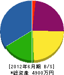 三浦電設 貸借対照表 2012年6月期