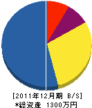 辻技建工業 貸借対照表 2011年12月期