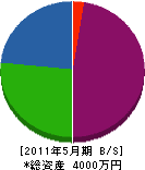 笠原電気 貸借対照表 2011年5月期