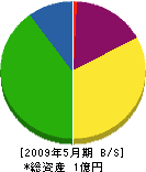 宮崎建設 貸借対照表 2009年5月期