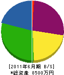 神姫電気工業所 貸借対照表 2011年6月期