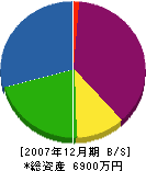 東山重機 貸借対照表 2007年12月期